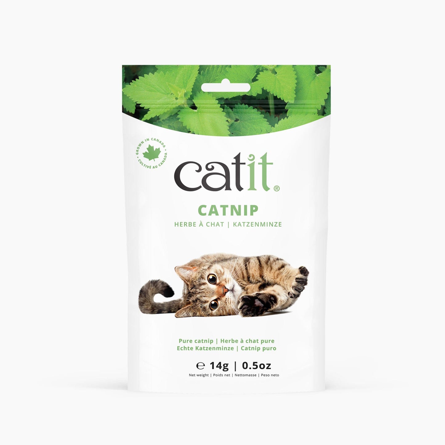 Catit Echte Katzenminze ─ 14g