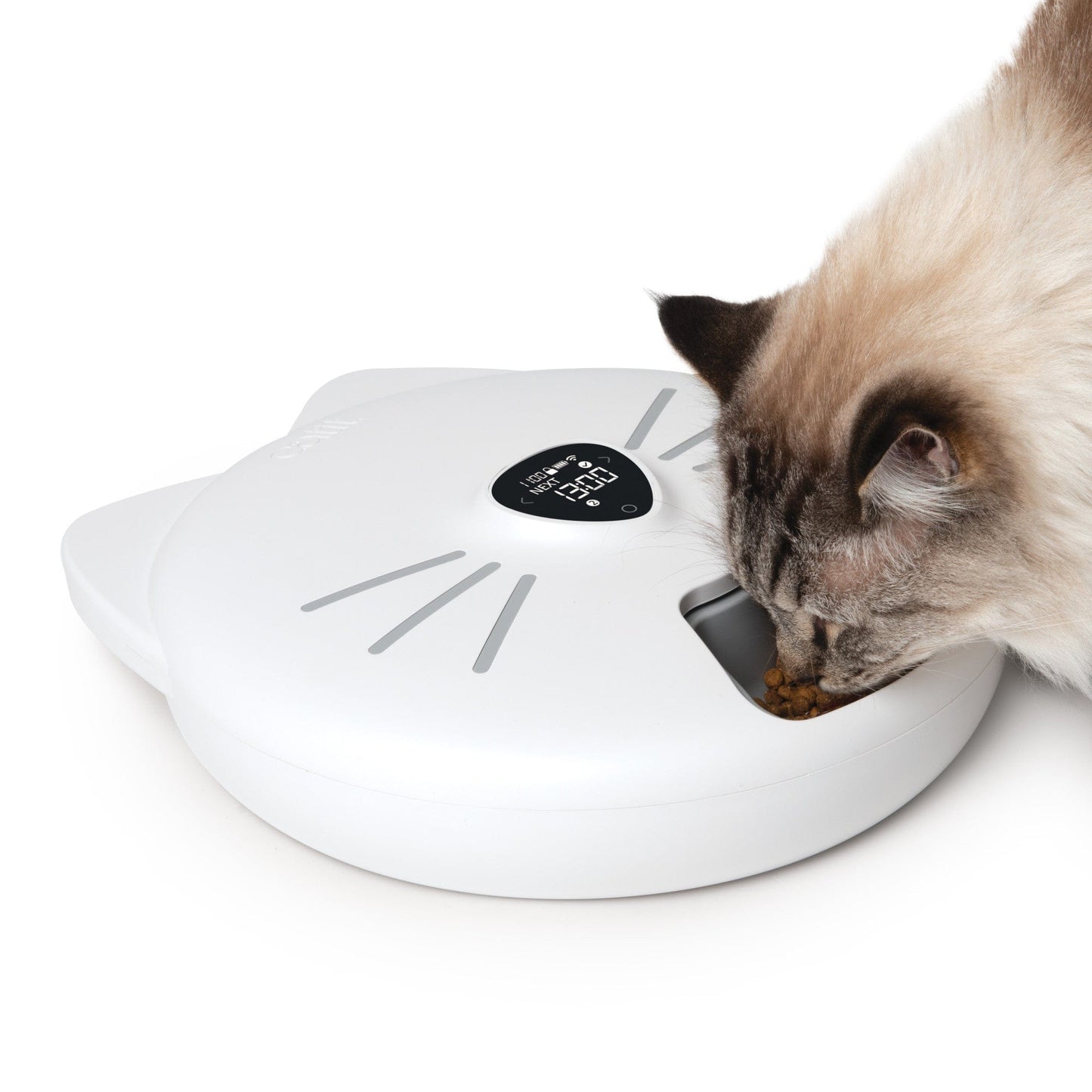 Catit PIXI Smart-Futterautomat mit 6 Mahlzeiten