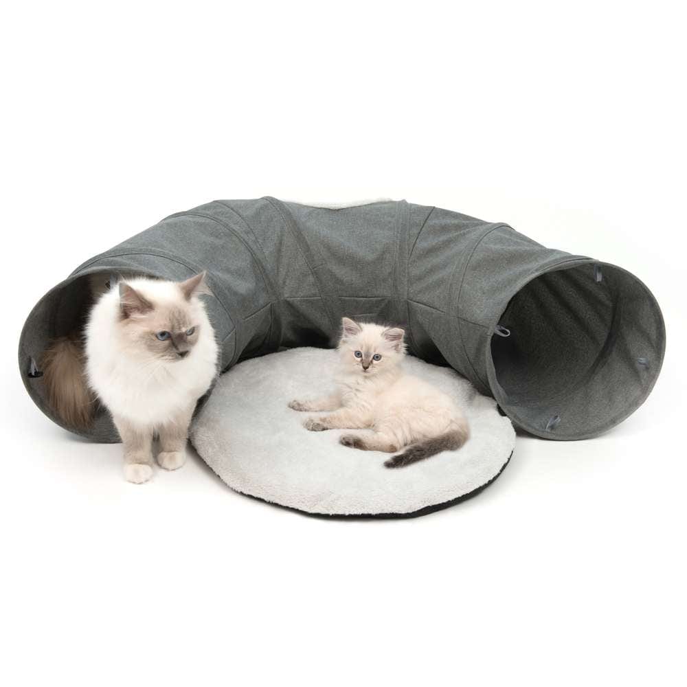 Zwei Katzen mit dem "Catit Vesper Tunnel", grau.