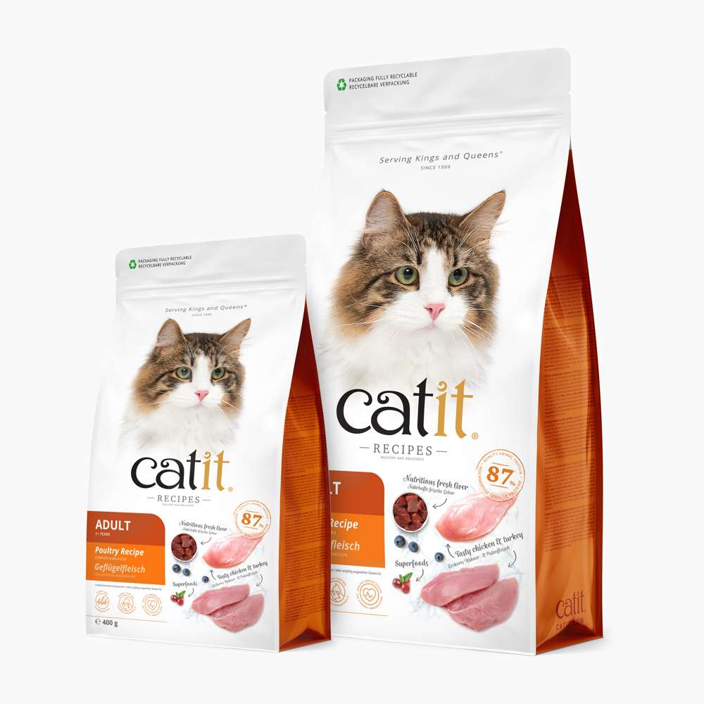 Catit Recipes – ADULT