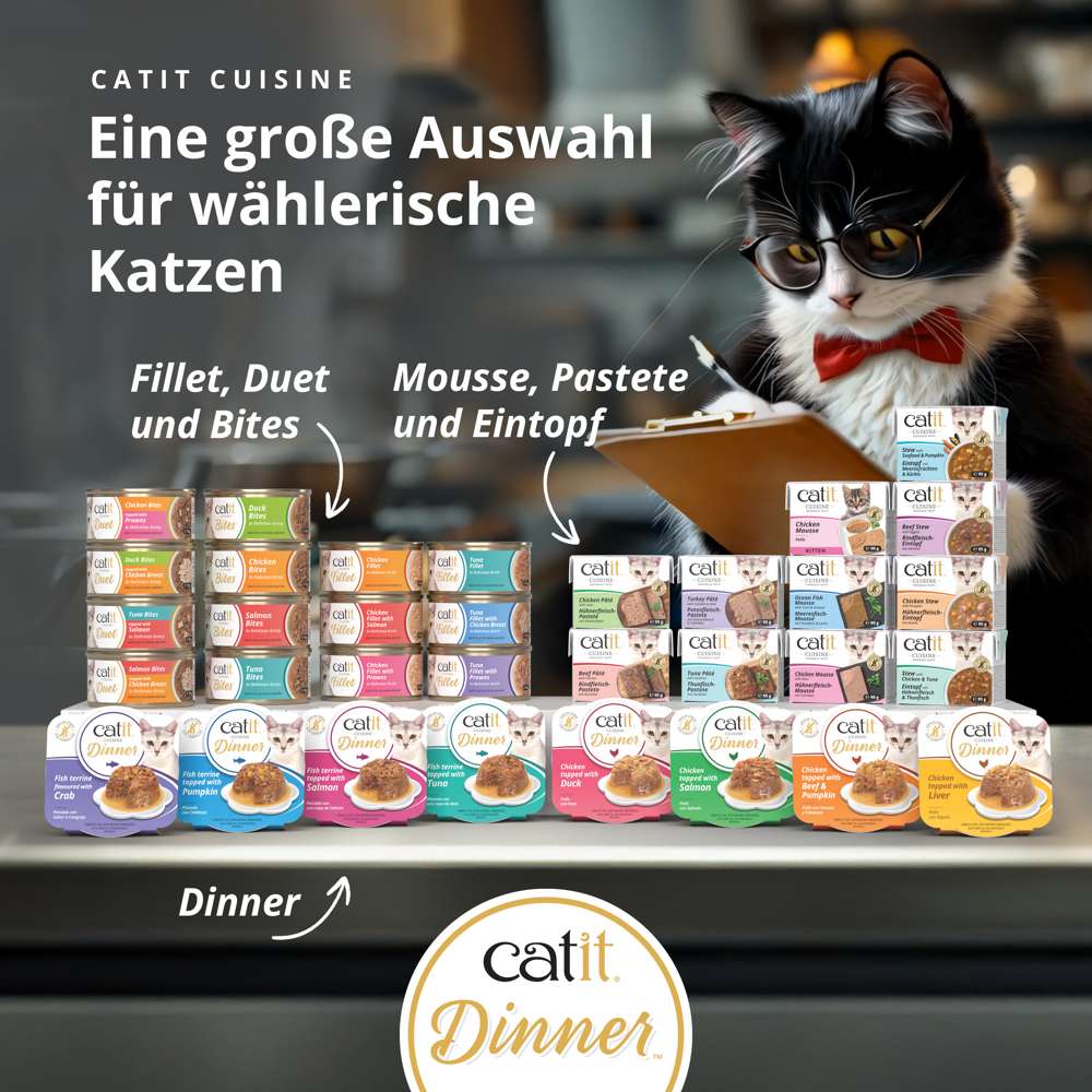 Catit Cuisine Dinner, Fisch, 75 g