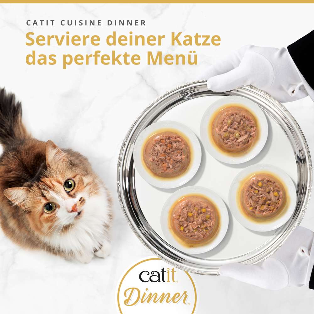 Catit Cuisine Dinner, Fisch, 75 g