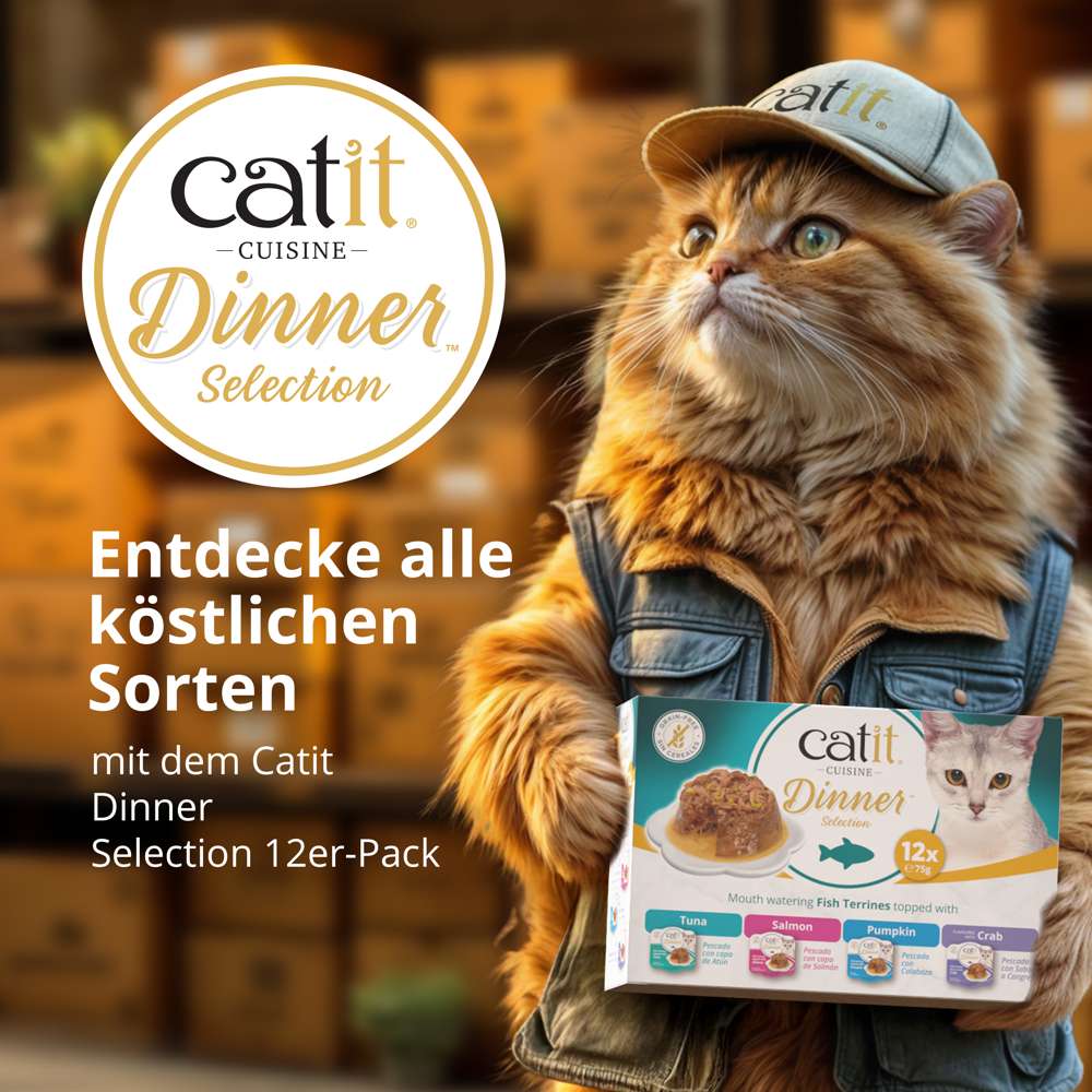 Catit Cuisine Dinner, Fisch, 75 g