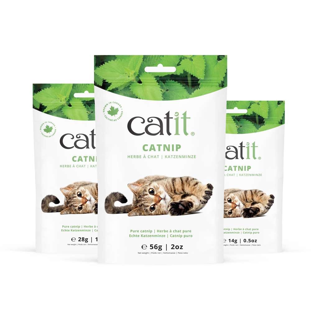 Gruppe von Catit Katzenminze-Verpackungen in 14g, 28g und 56g Größen mit getrockneten Blättern.