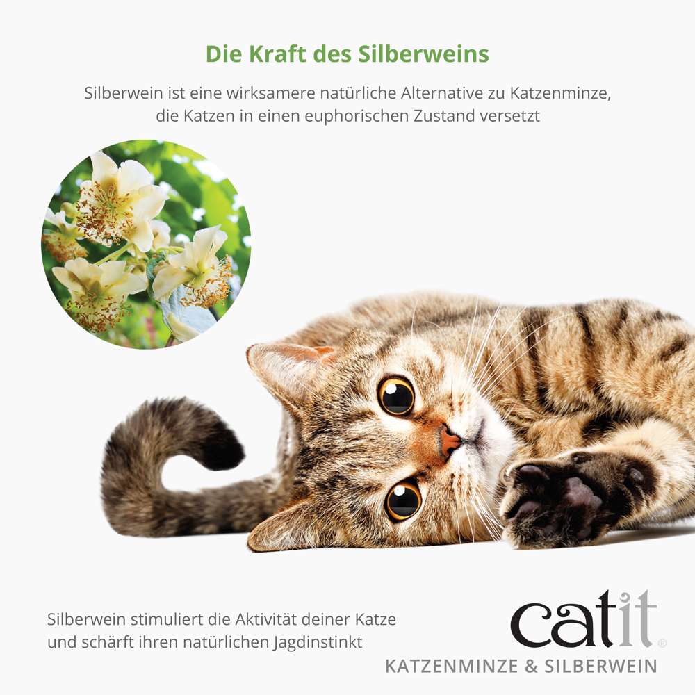 Silberwein ist eine wirksamere natürliche Alternative zu Katzenminze, die Katzen in einen euphorischen Zustand versetzt. Silberwein stimuliert die Aktivität deiner Katze und schärft ihren natürlichen Jagdinstinkt.