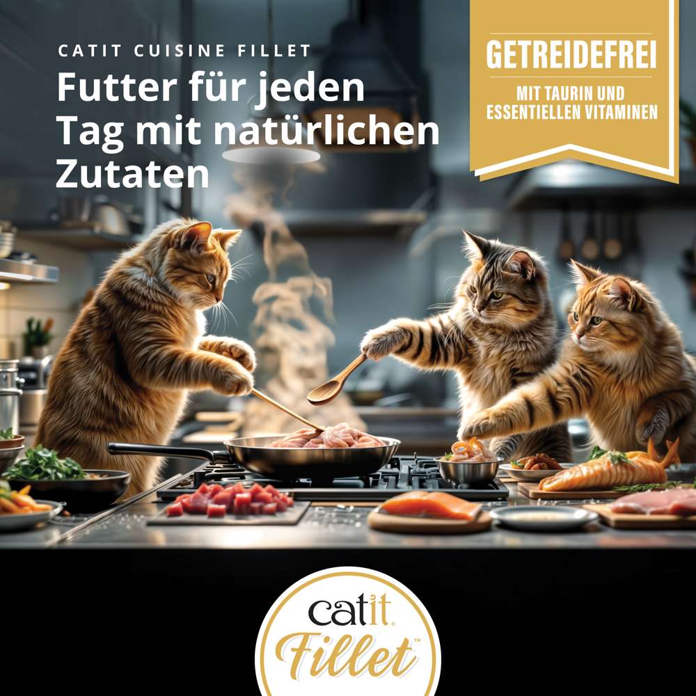 Catit Cuisine Fillet, Multipack, 12er-Pack