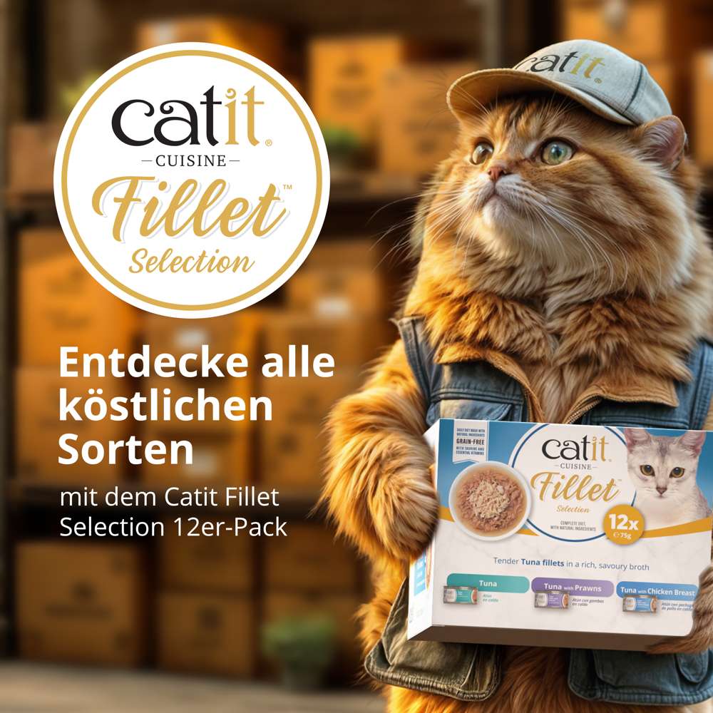 Catit Cuisine Fillet, Thunfisch, 75 g