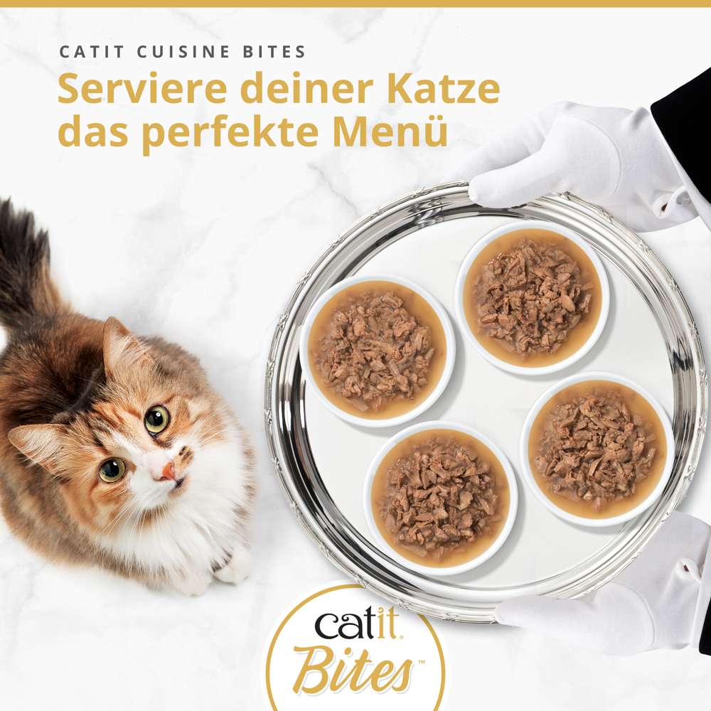 Catit Cuisine Bites, 75 g
