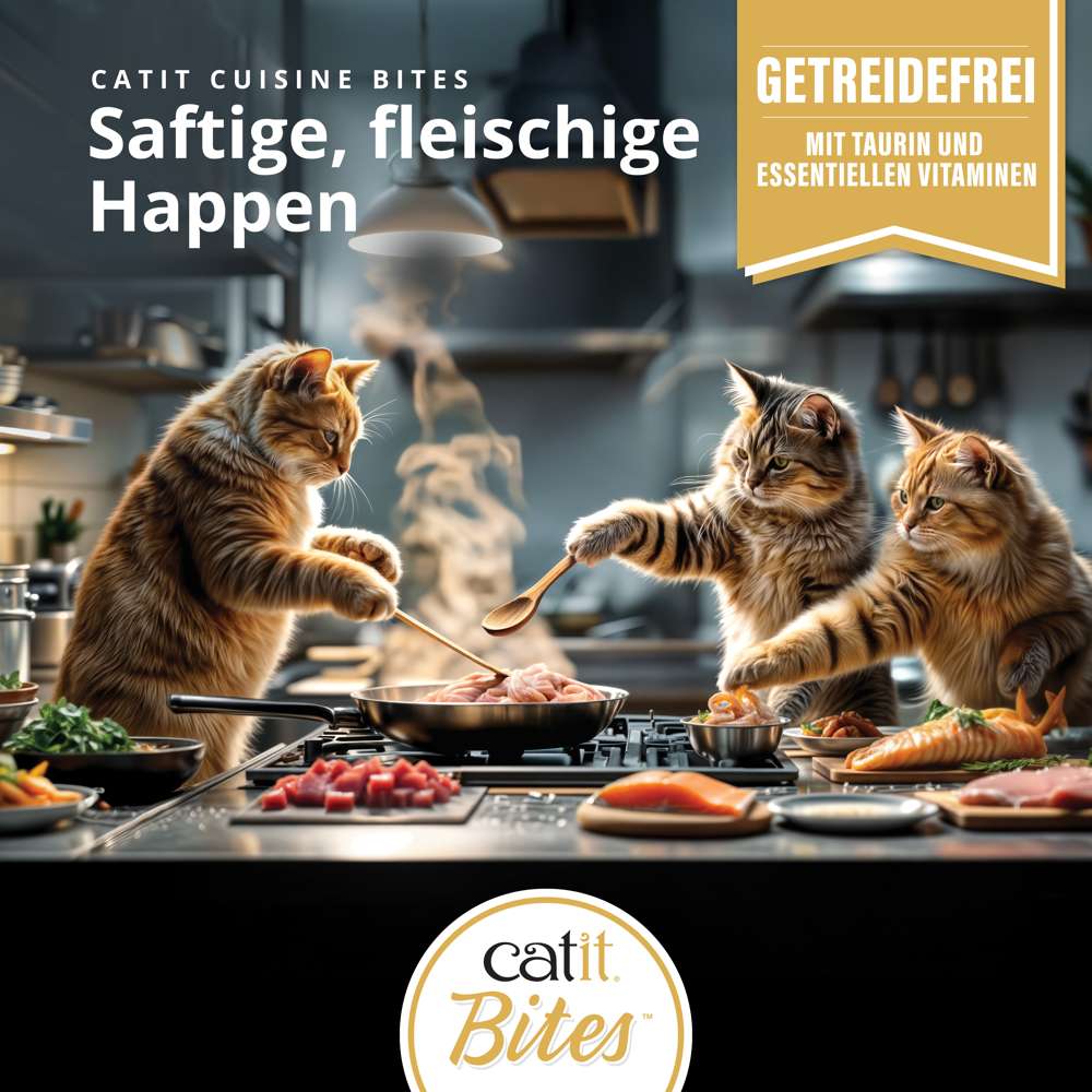 Catit Cuisine Bites, Multipack, 12er-Pack