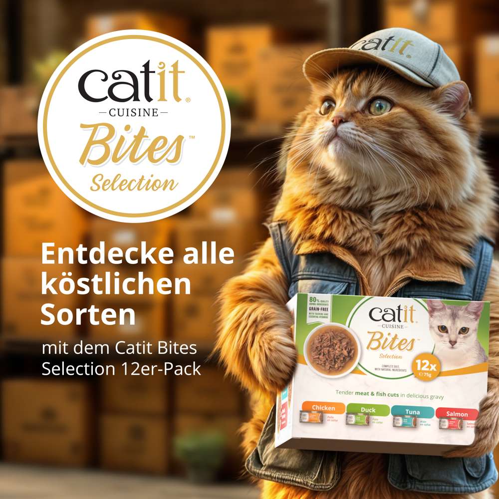 Catit Cuisine Bites, 75 g