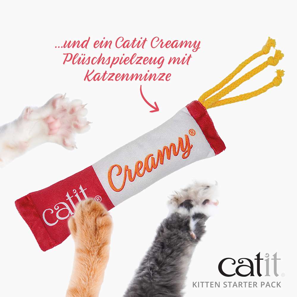 Unsere Kitten Starter Box enhält unter anderem ein Catit Creamy Plüsch-Spielzeug mit Katzenminze.