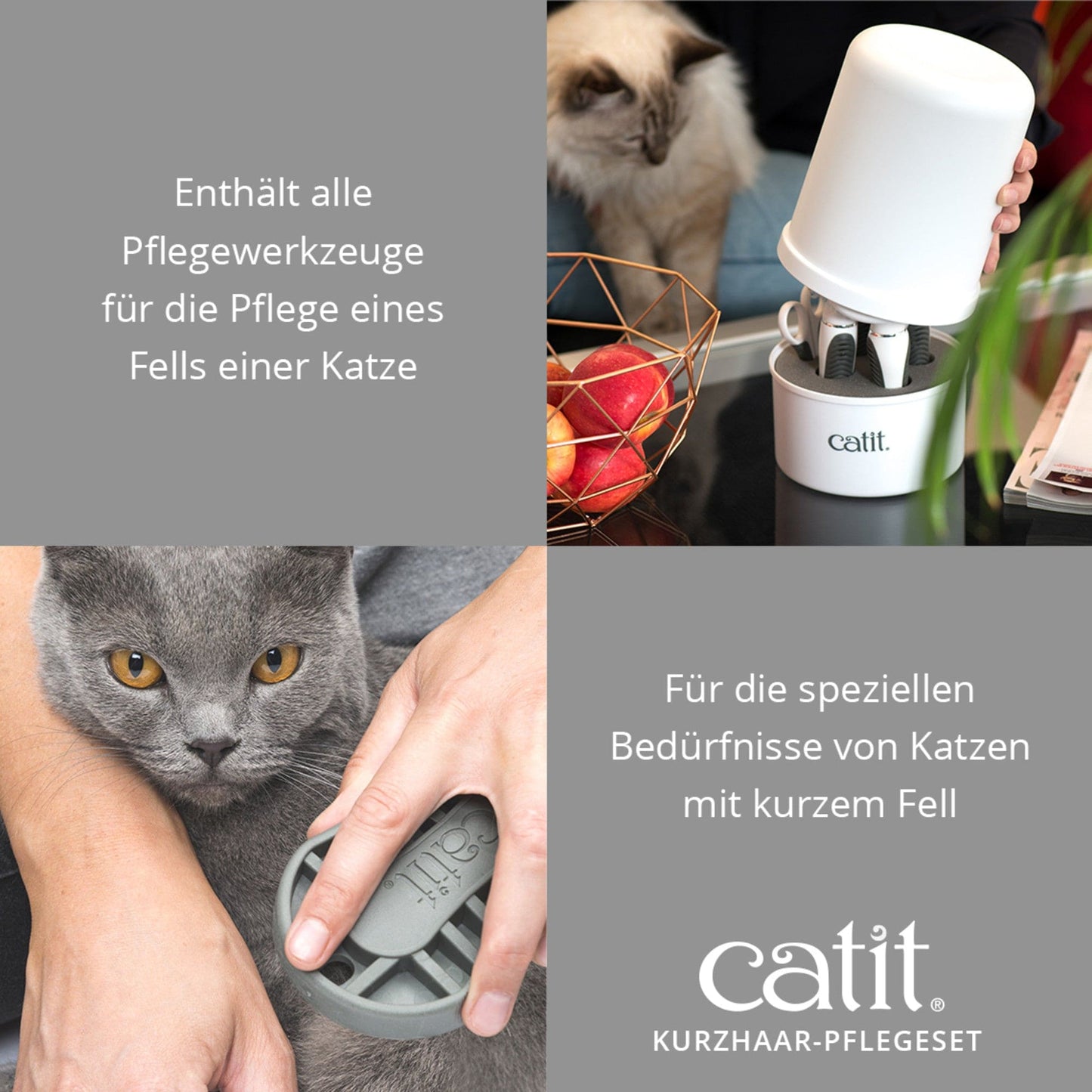 Catit Kurzhaar-Pflegeset