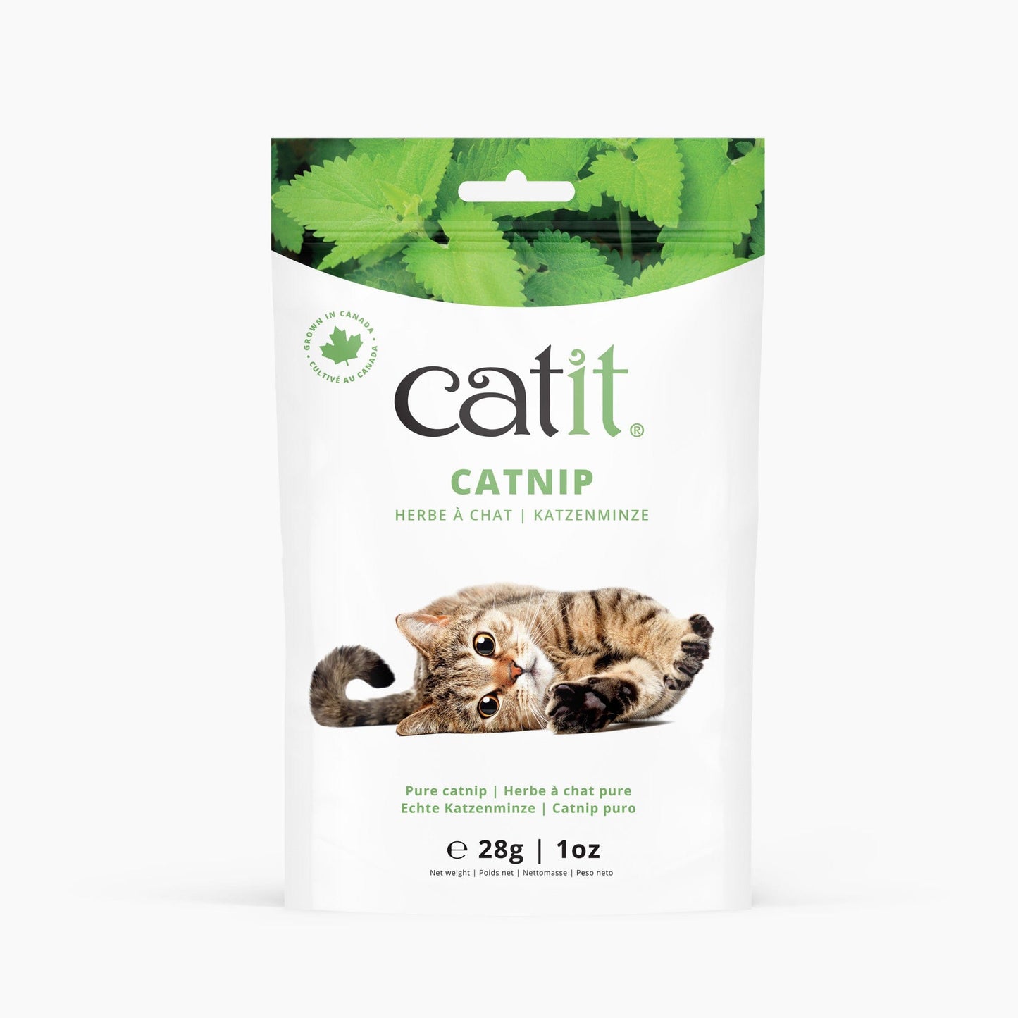 Catit Echte Katzenminze ─ 28g