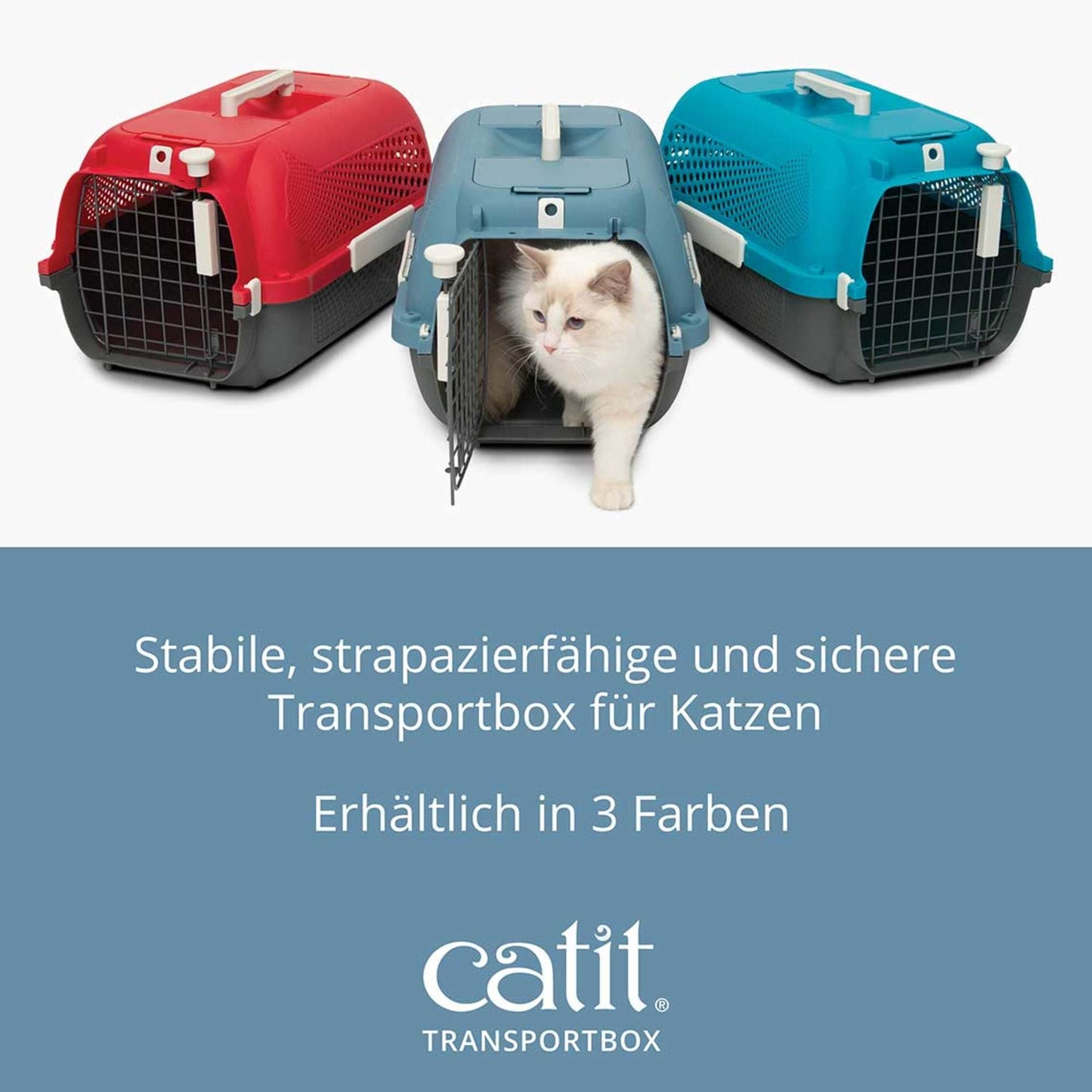 Catit Transportbox für Katzen ─ Mittelgroß, Türkis