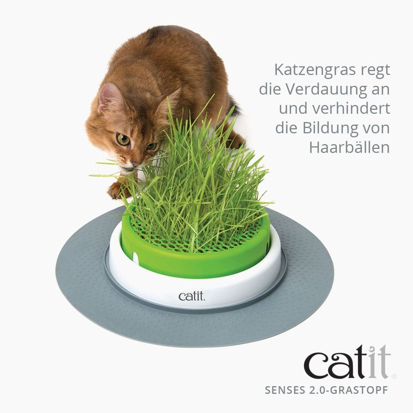 Catit Senses Grastopf