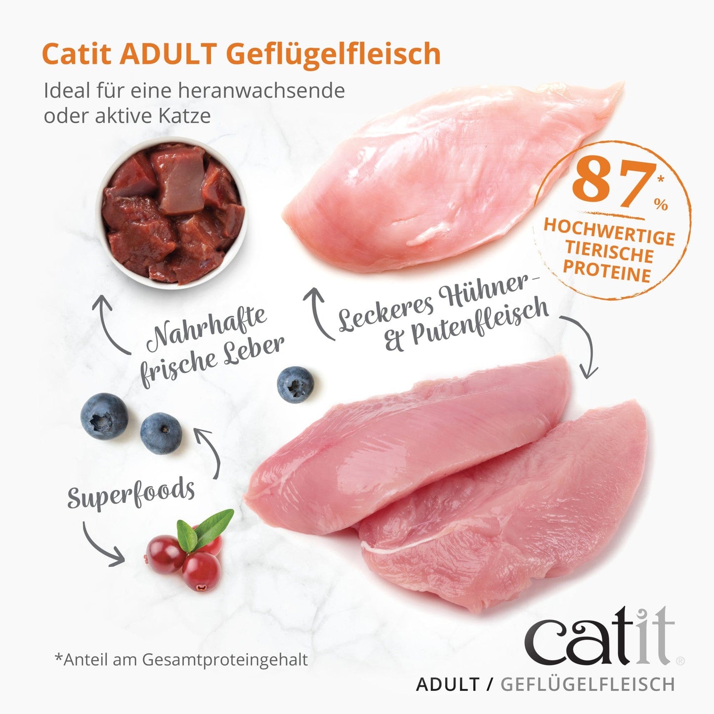 Catit Recipes – ADULT Geflügelfleisch, 2 kg