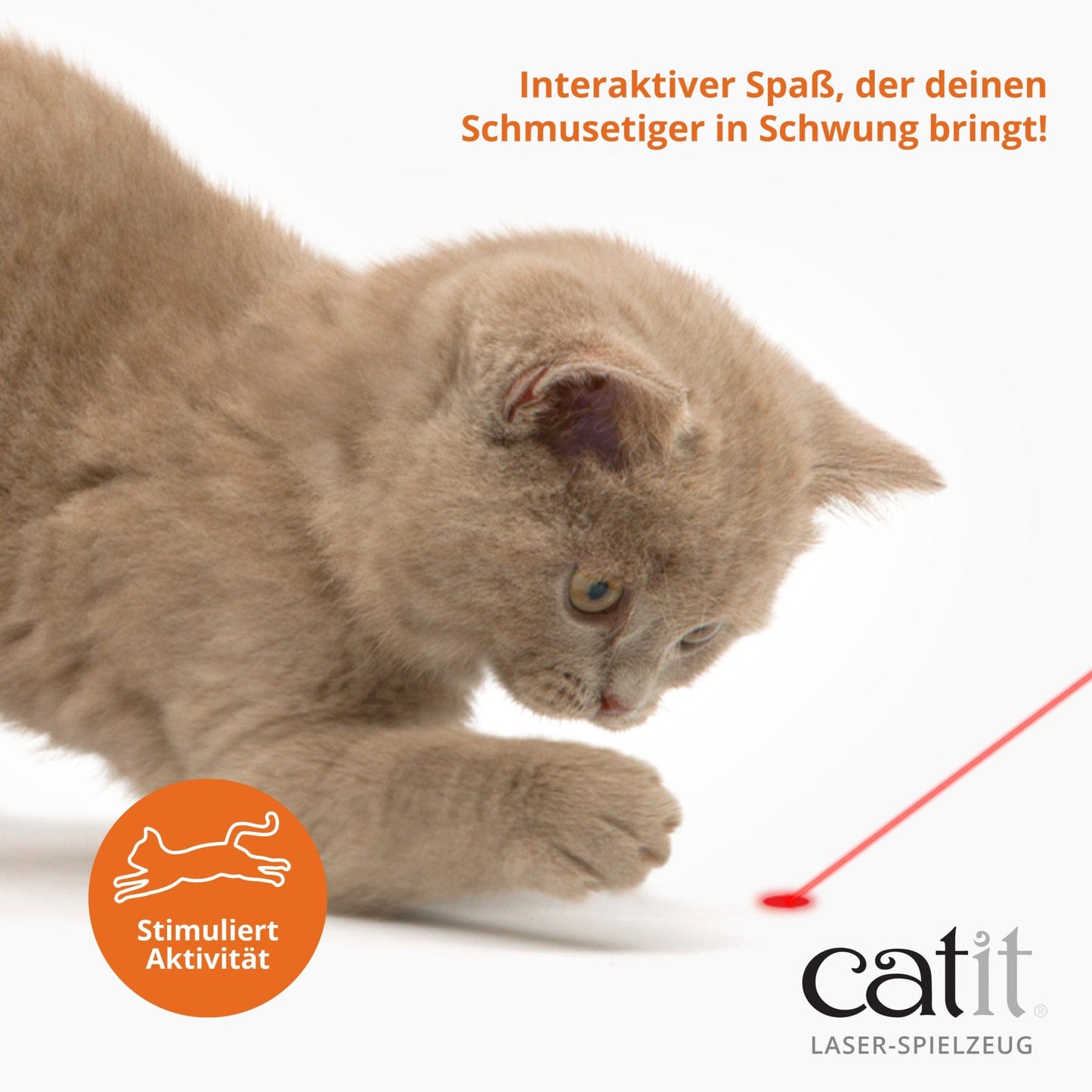 Catit Laser-Spielzeug