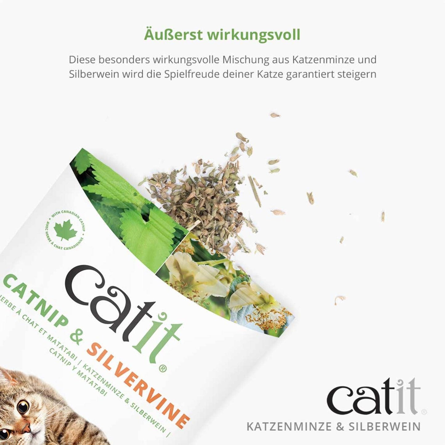 Catit Mischung aus Katzenminze und Silberwein