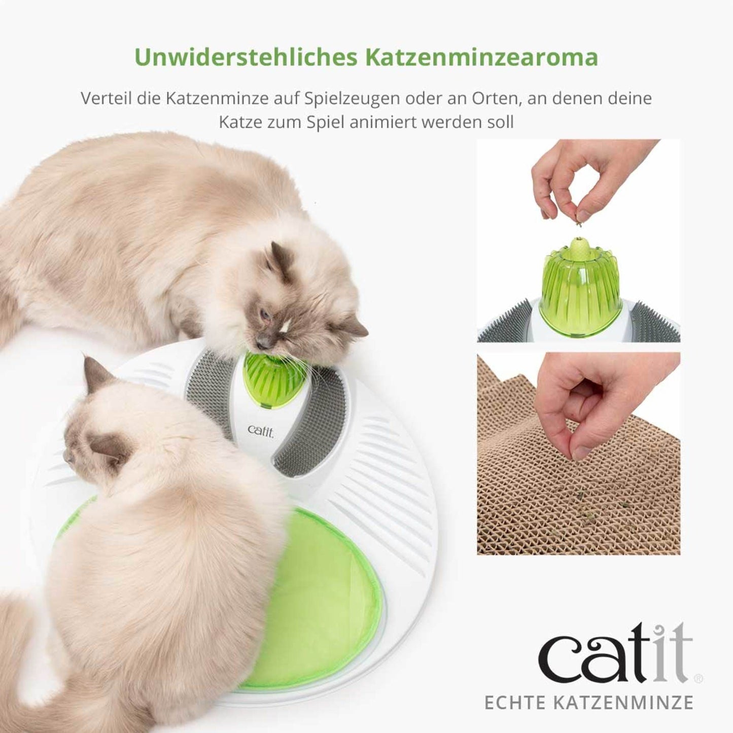 Catit Echte Katzenminze ─ 14g