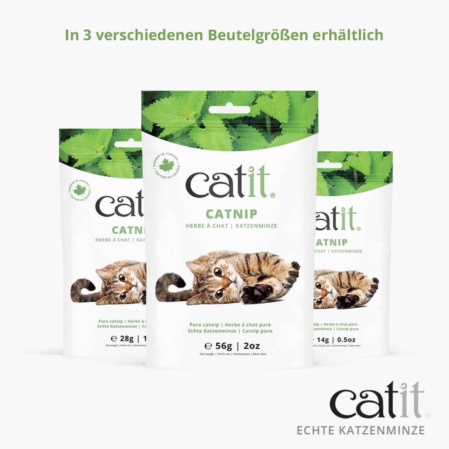 Catit Echte Katzenminze ─ 14g