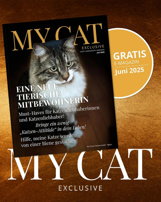 Coverbild des aktuellen MyCat Online-Magazins.