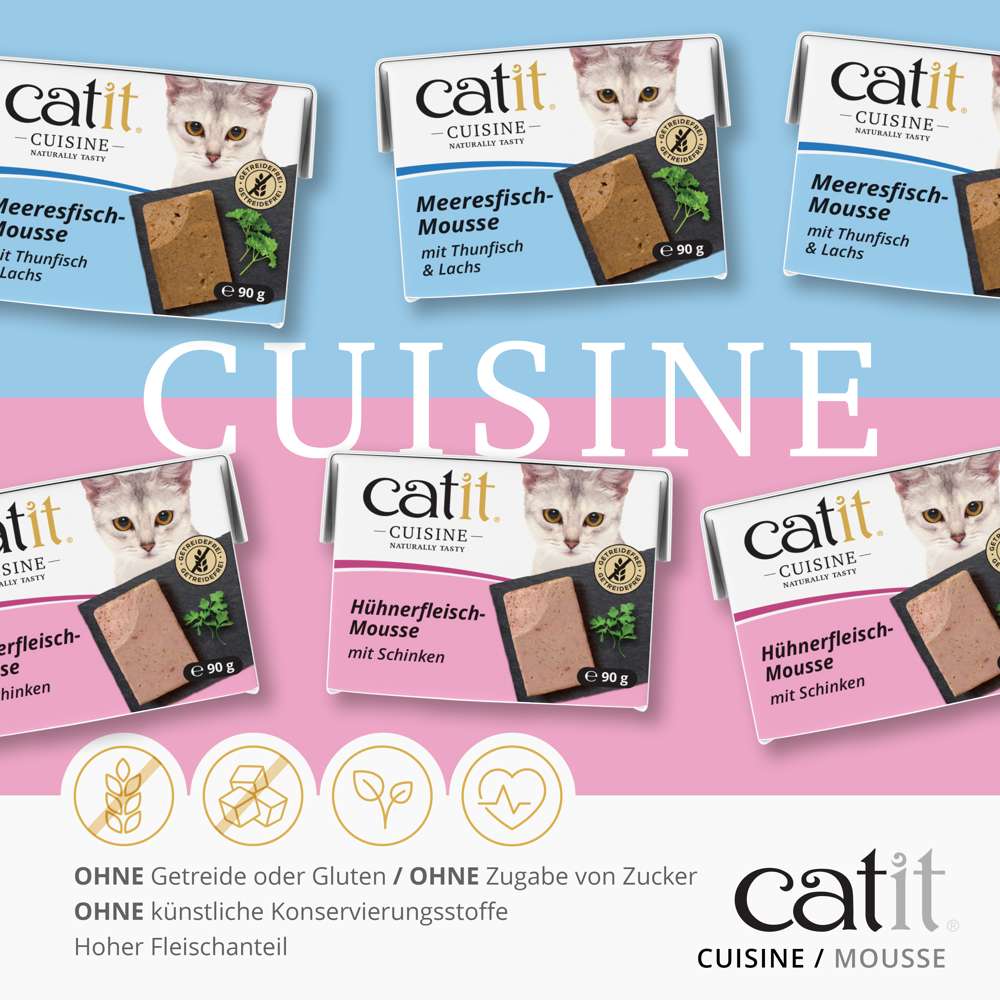Catit Cuisine Mousse