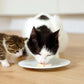 Catit Creamy Cups