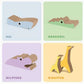 Catit Zoo Kratzbretter