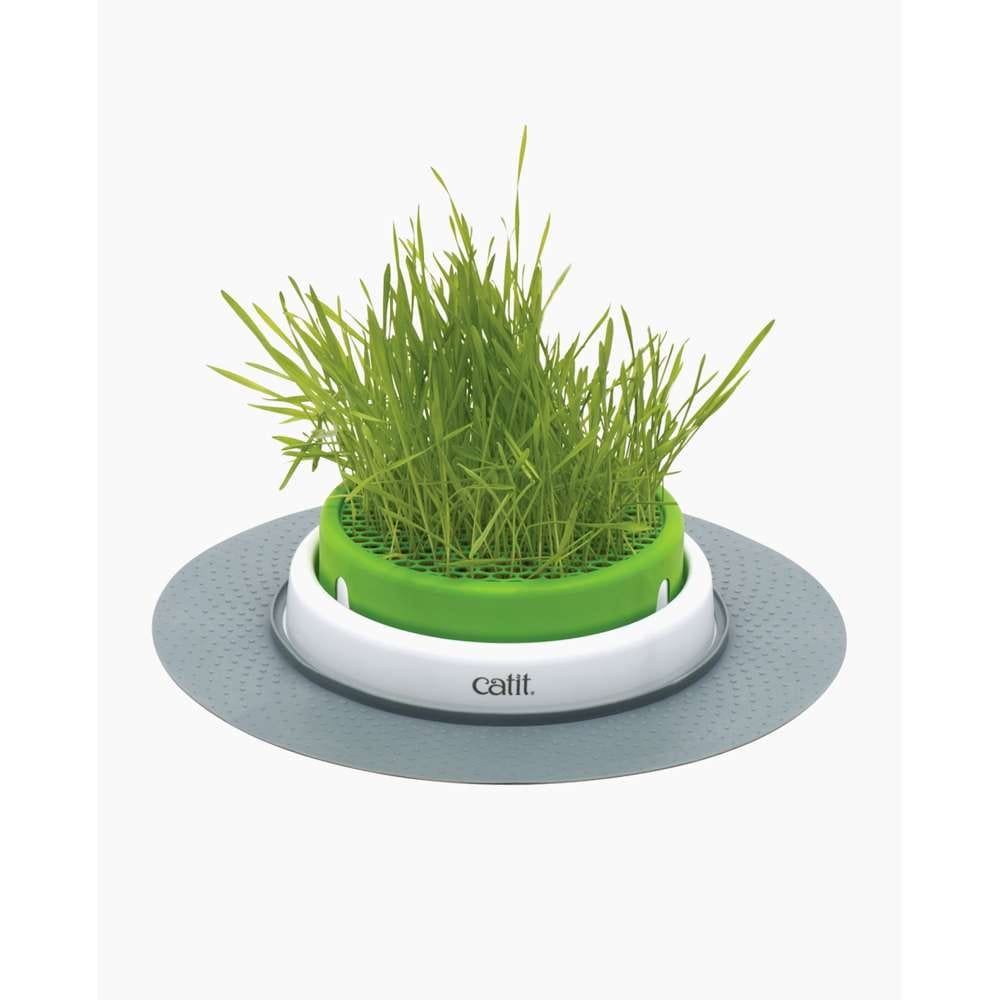 Catit Senses Grastopf
