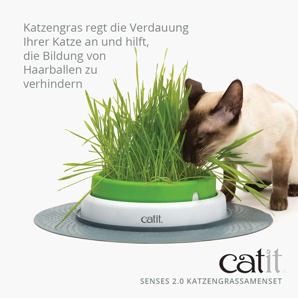 Catit Senses Katzengrassamenset