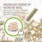Catit Go Natural! Klumpendes Katzenstreu aus Erbsenhülsen