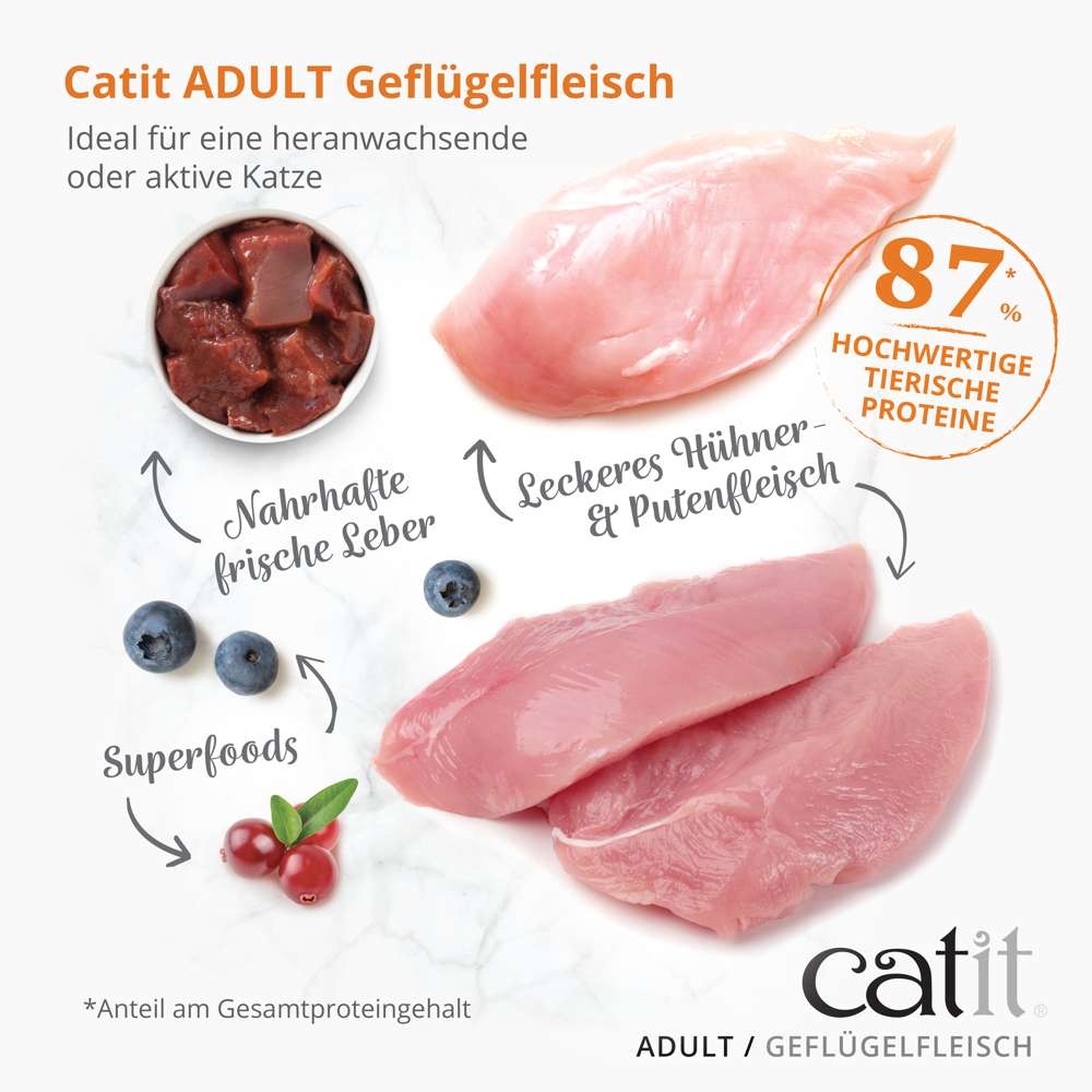Catit Recipes – ADULT