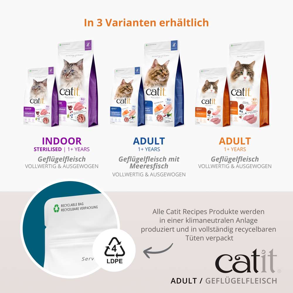 Catit Recipes – ADULT
