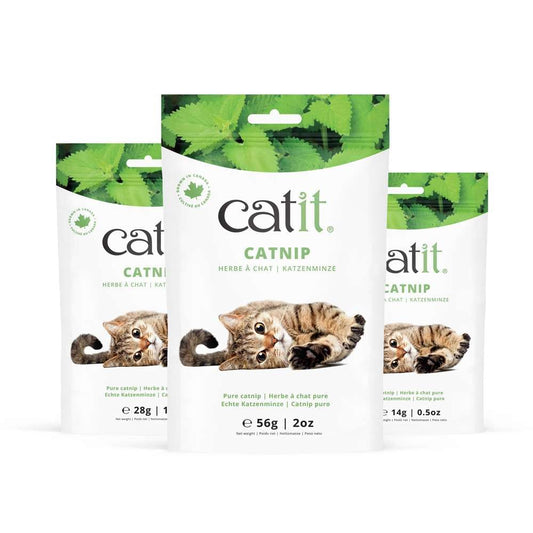 Catit Echte Katzenminze