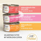 Catit Cuisine Fillet, Multipack, 12er-Pack