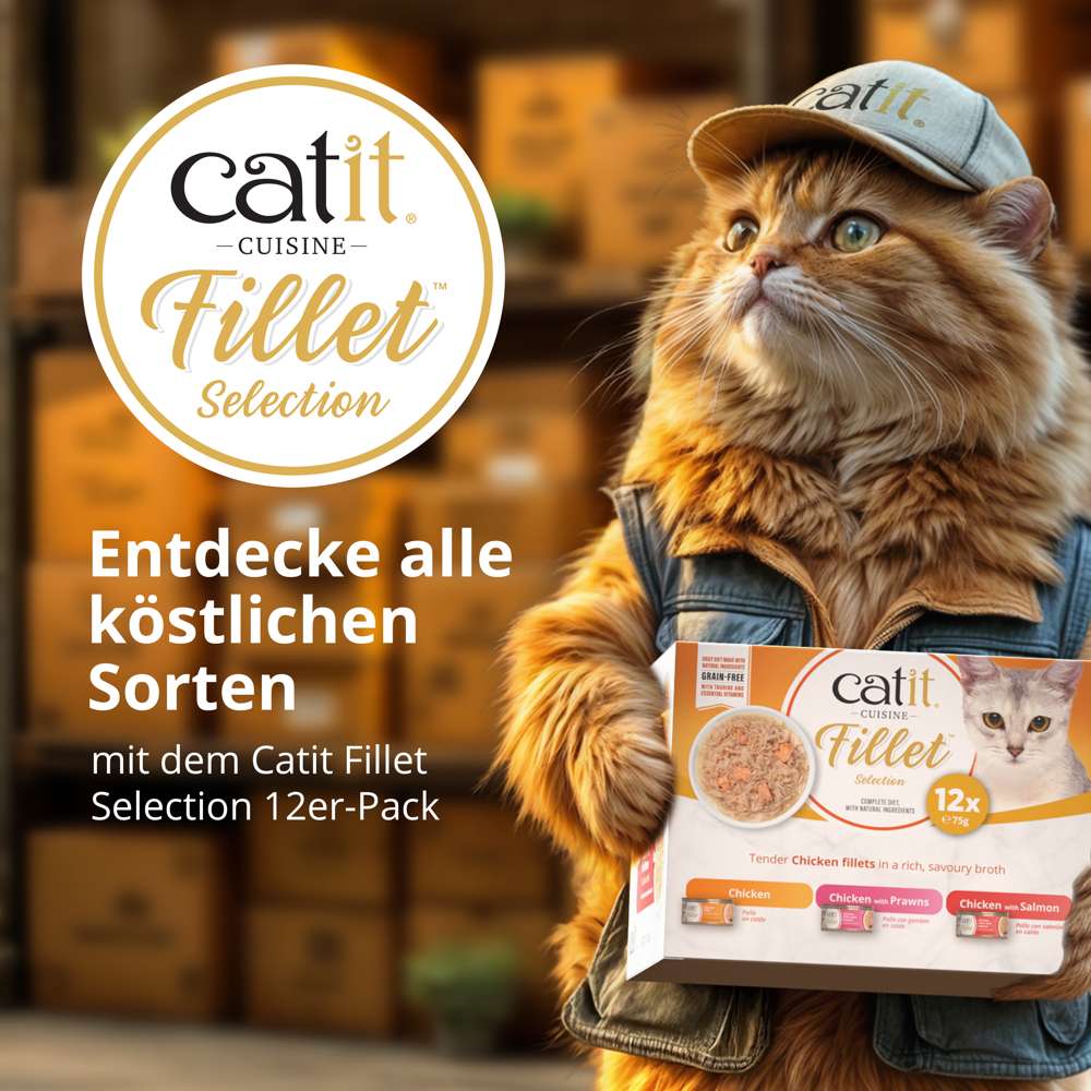 Catit Cuisine Fillet, Hühnerfleisch, 75 g