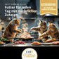 Catit Cuisine Fillet, Multipack, 12er-Pack