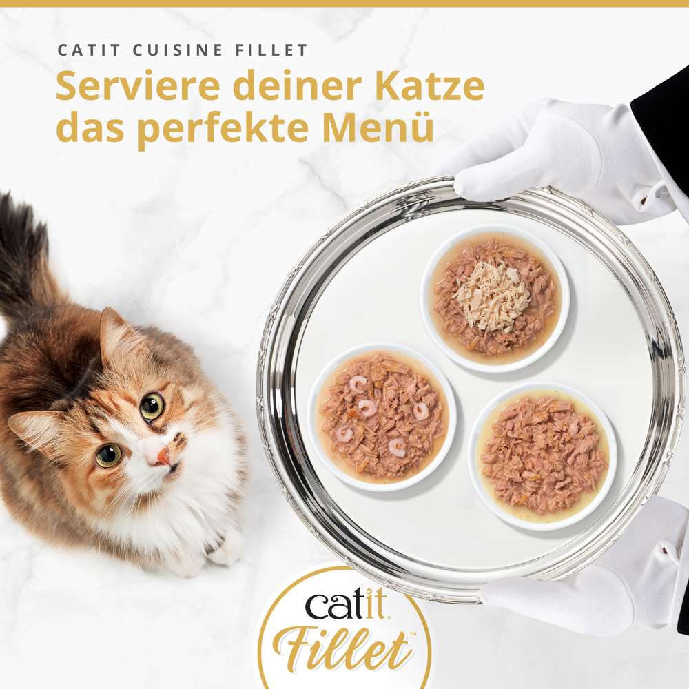 Catit Cuisine Fillet, Multipack, 12er-Pack
