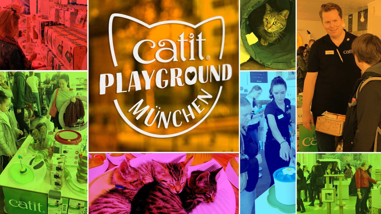 Video laden: Catit Playground